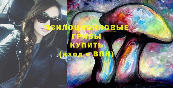 тгк Сатка