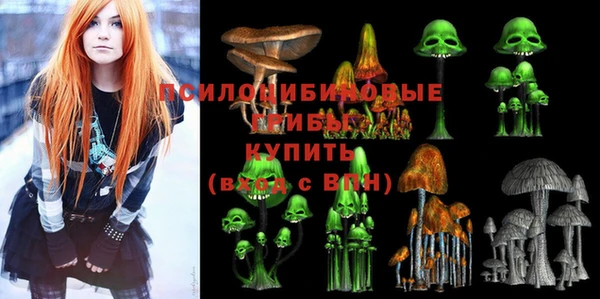 прущая мука Саяногорск