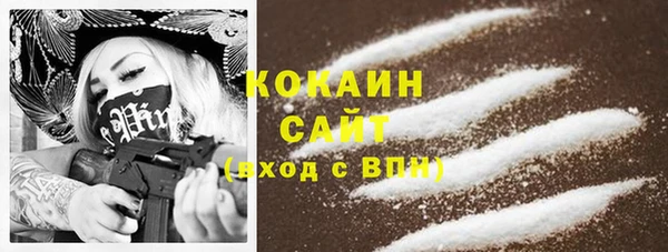 тгк Сатка