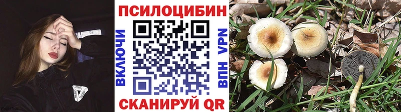 Купить закладки  Старая Купавна  Псилоцибиновые грибы прущие грибы 